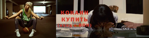 дживик Аркадак