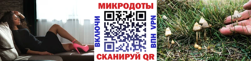 MEGA tor  Орёл  Галлюциногенные грибы Psilocybine cubensis  наркошоп 